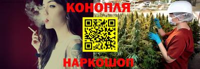 индика Кулебаки