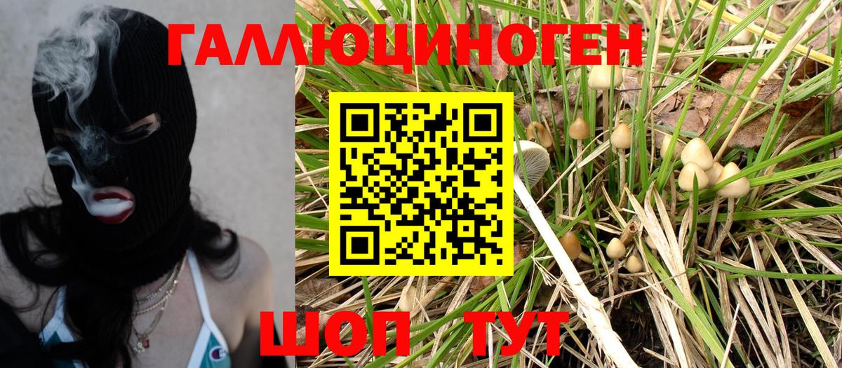 где найти наркотики  Галлюциногенные грибы Magic Shrooms  Вход с VPN  Коломна 